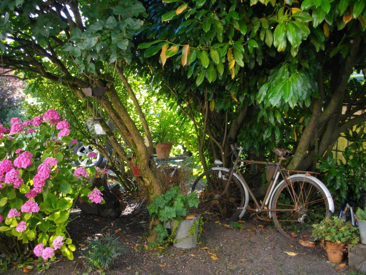 Bed and Breakfast Au Bois Dormant Huby-Saint-Leu Esterno foto